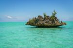 Les principales raisons de partir en vacances à l’île Maurice